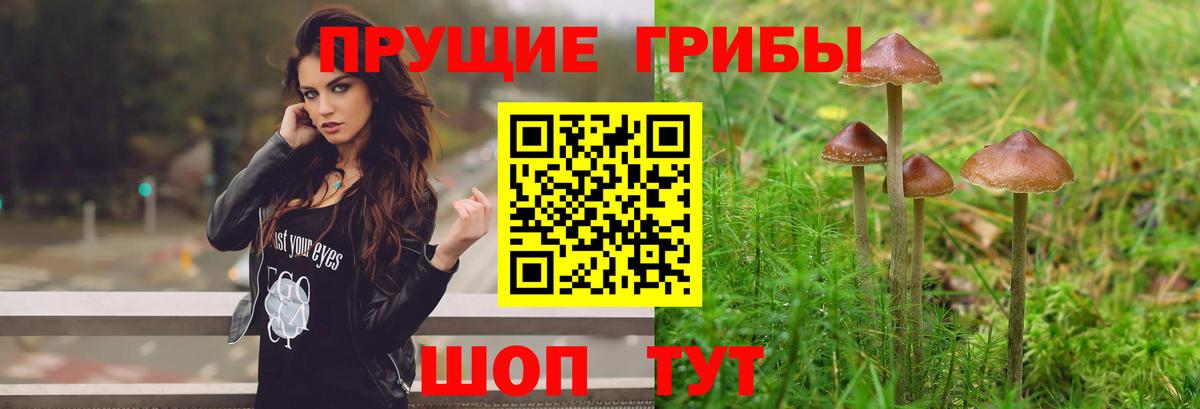 Псилоцибиновые грибы ЛСД  Вход с VPN  Десногорск 
